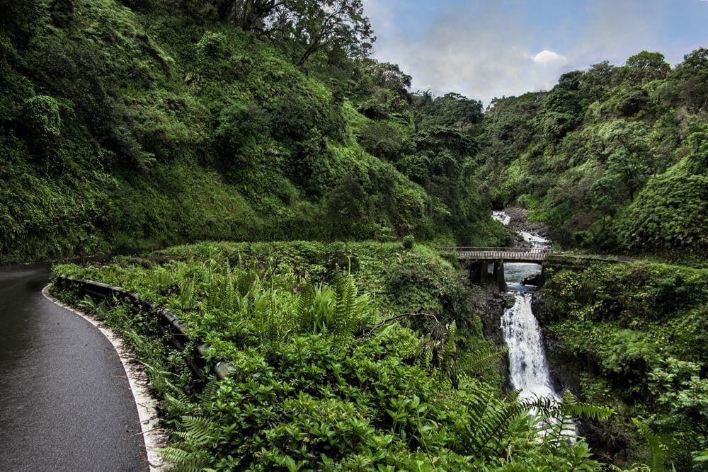 Road to Hana among lush foliage with a bridge crossing a waterfall in the distance.