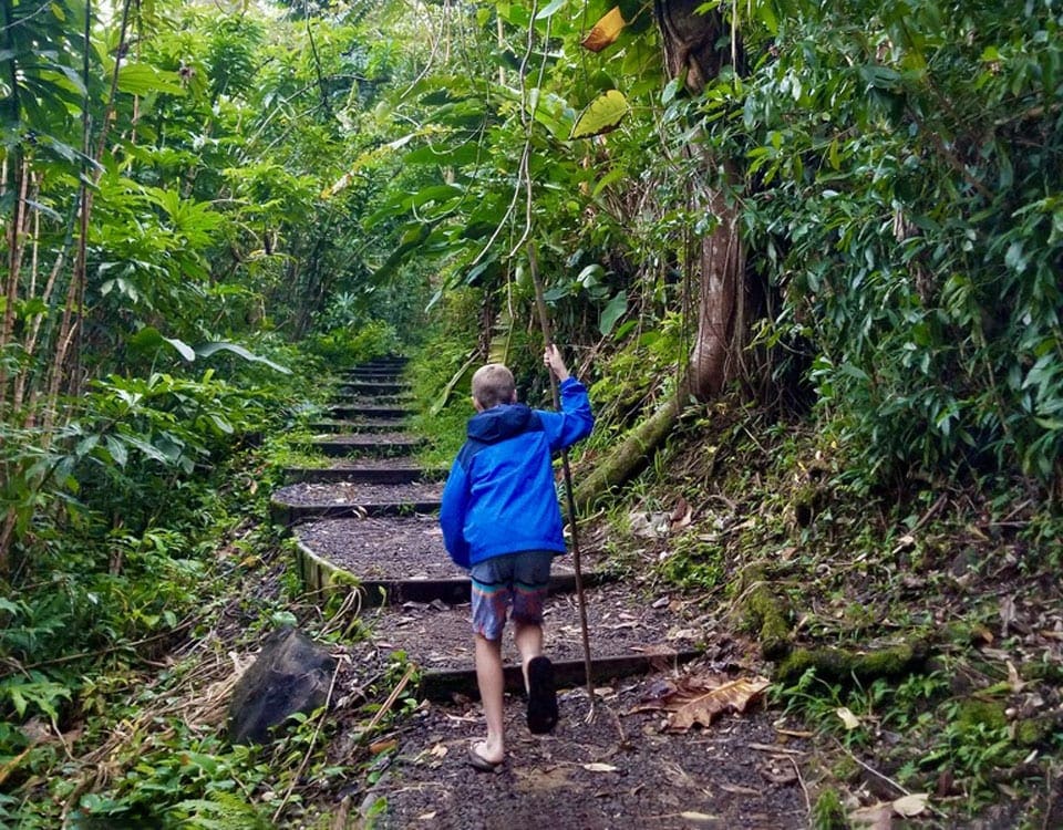 A young boy uses a walking stick to climb trail stairs along Waikamoi Trail, which is a great place to stop on the Road to Hana with kids.