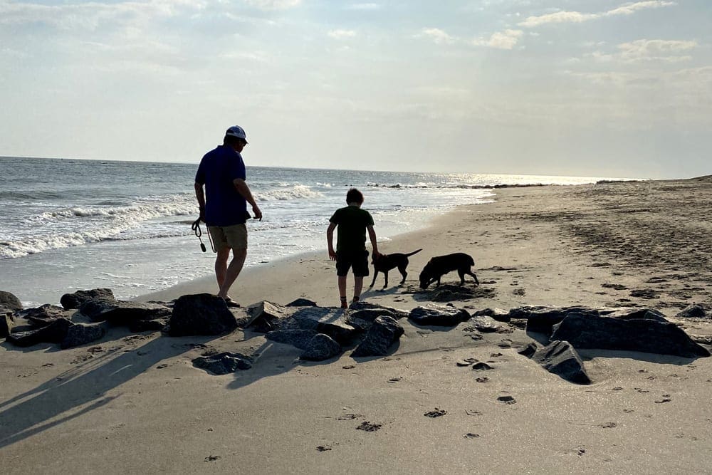 Two people and two dogs walk along Edisto Island, one of the best islands in South Carolina for families, near Charleston, South Carolina.