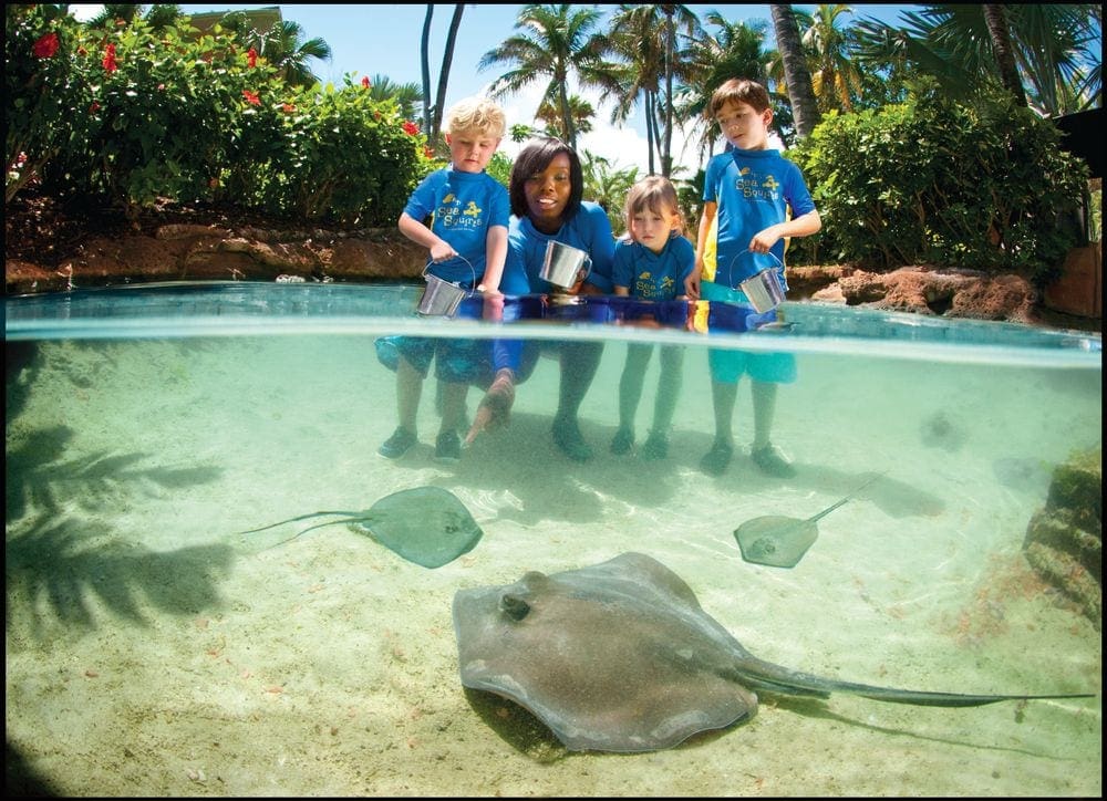 Three kids and a staff member enjoy a shallow pool at Atlantis Bahamas while three sting rays swim along the bottom.