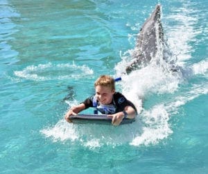 Dolphin pulling kid in a surf board