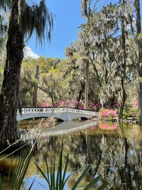 A pituresque bridge over the water at Magnolia Plantation in Charleston.