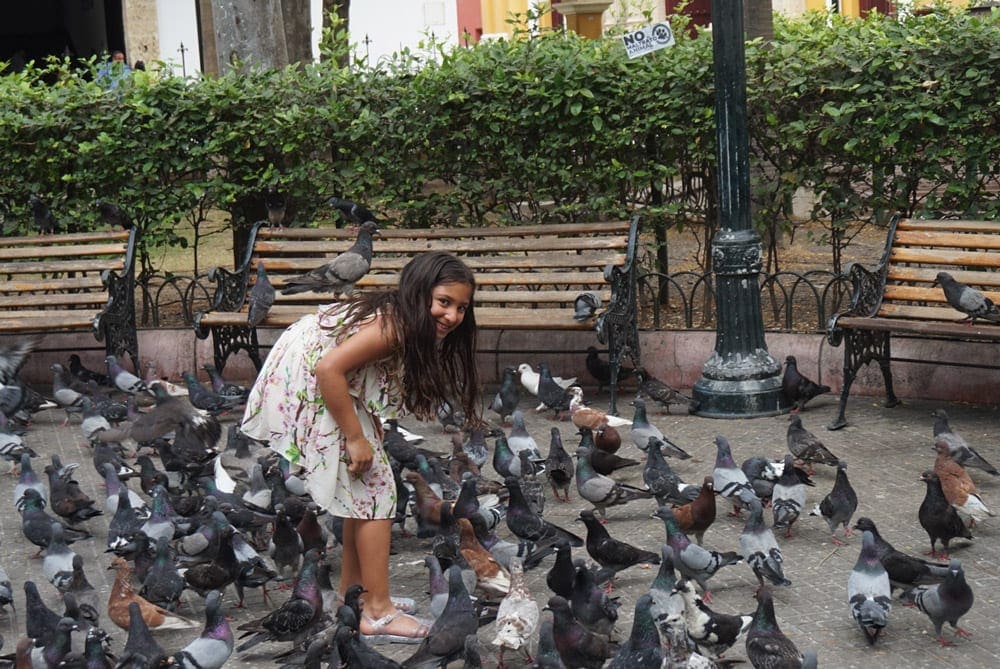 A young girl is surrounded by numerous pigeons in Plaza de San Pedro Claver, with one that landed on her back!