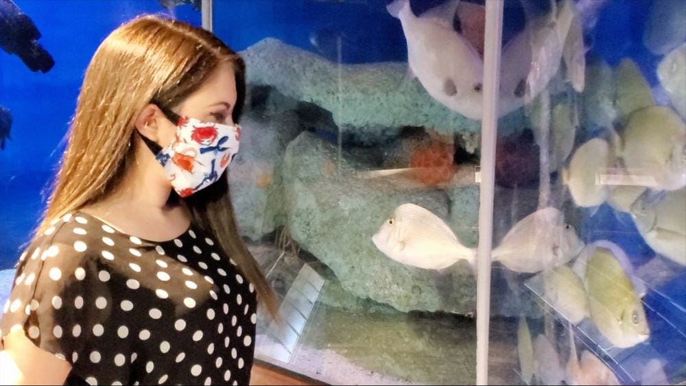 A woman wearing a mask looks at a fish exhibit at the South Carolina Aquarium.