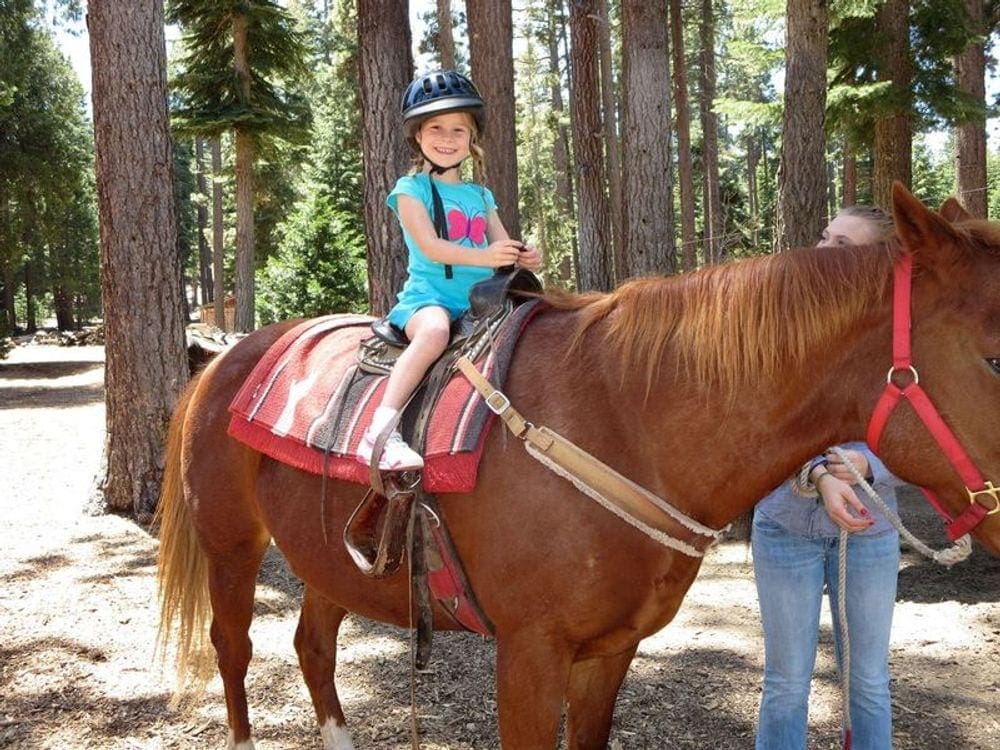 A young girl wearing a bike helmet sits proudly on a brown horse.