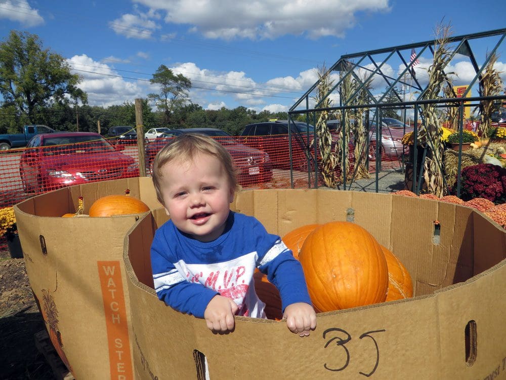 A baby stands in a crate of pumpkins while enjoying a day at Pumpkin Village, a great location for fall activities near Washington DC for families.