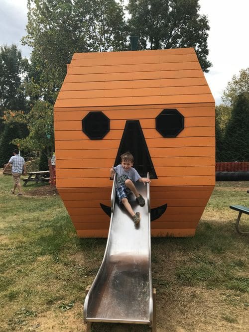 A young boy slides down a chute extending from a large pumpkin made of wood.