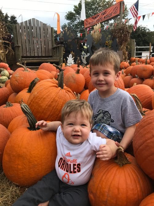 Two boys sit amongst pumpkins while exploring Burke Nursery.
