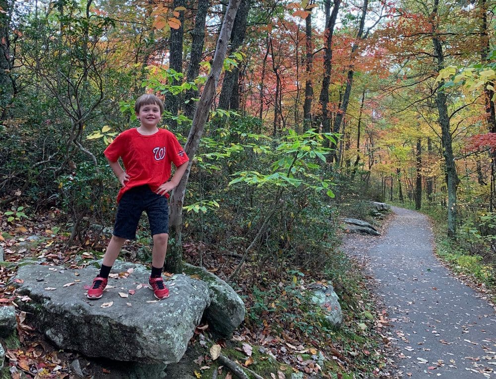 A young boy stands on a large rock with a pave path nearby, while hiking in George Washington and Jefferson National Forests.