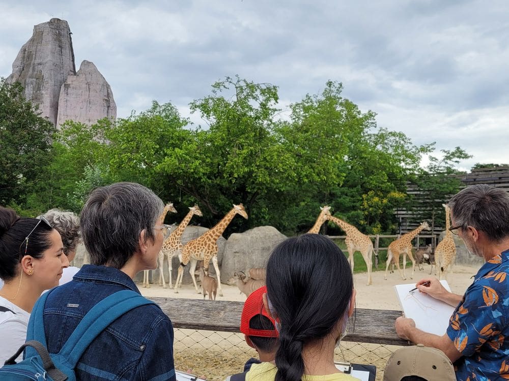 Several people look at a herd of giraffes within the Parc zoologique de Paris.