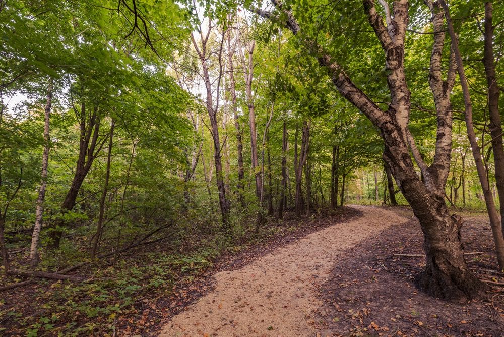 A winding, wooded path in the Great River Bluffs State Park, located in Winona, Minnesota, one of the weekend getaways from Minneapolis for families.