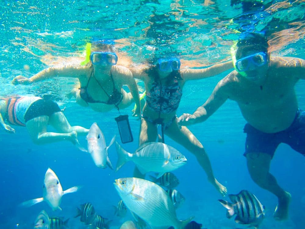 A family snorkels among many fish off the coast of Cozumel, one of the best day trips from Playa del Carmen for families.