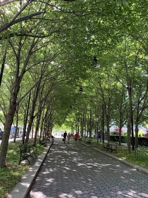 A brick sidewalk, shaded with trees, within Battery Park in NYC.