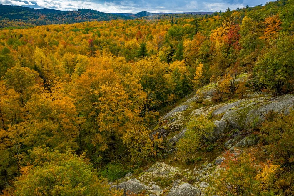 A view of brilliant fall foliage in Marquette, Michigan, featuring hues of orange, yellow, red, and green.