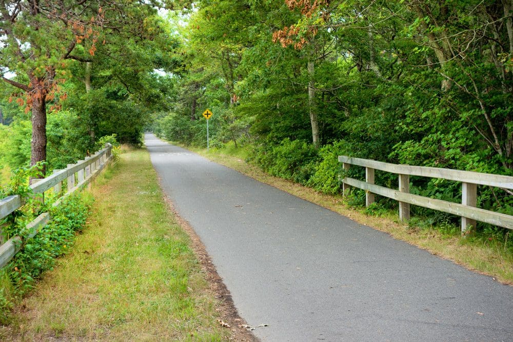 A paved bike path extends into the Cape Cod Rail Trail, with lush foliage on both sides of the trail.