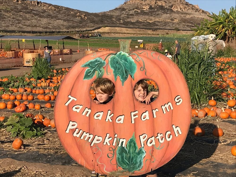 Two boys stick their heads through holes in a large pumpkin sign reading "Tanaka Farms Pumpkin Patch", one of the best places for fall in California with kids.
