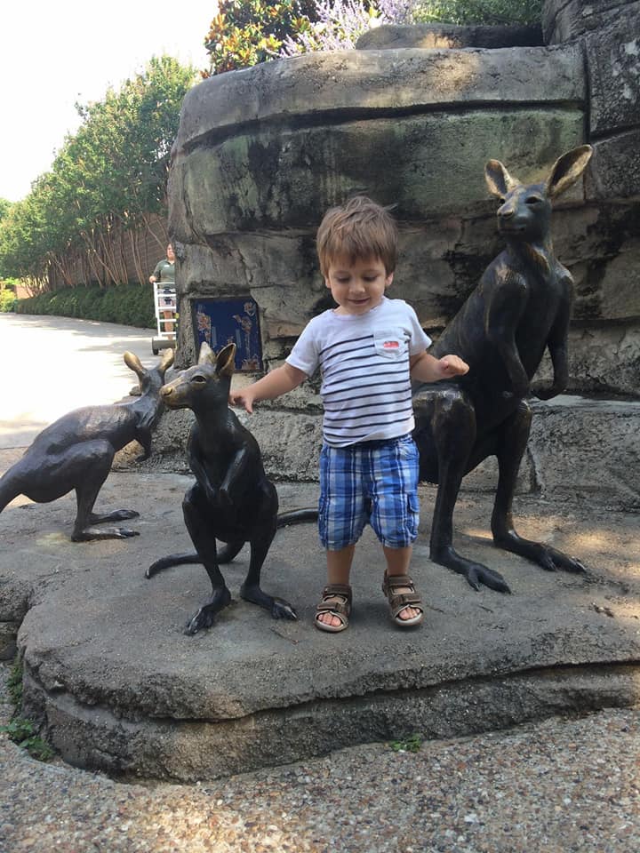 A young boy stands amongst kangaroo statues at the Dallas Zoo.