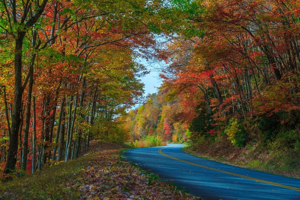 A road in Asheville, North Carolina winds through a shroud of fall foliage in hues of red, orange, yellow, and green.