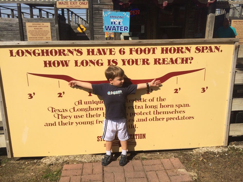 A young boy holds up his arms to see how they compare to a Texas long-horn while visiting the Forth Worth Stockyard.