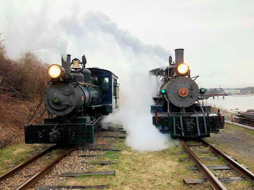 Two steam trains from Maine Narrow Gauge Railroad Co. & Museum sit side by side on the tracks with steam pouring out.