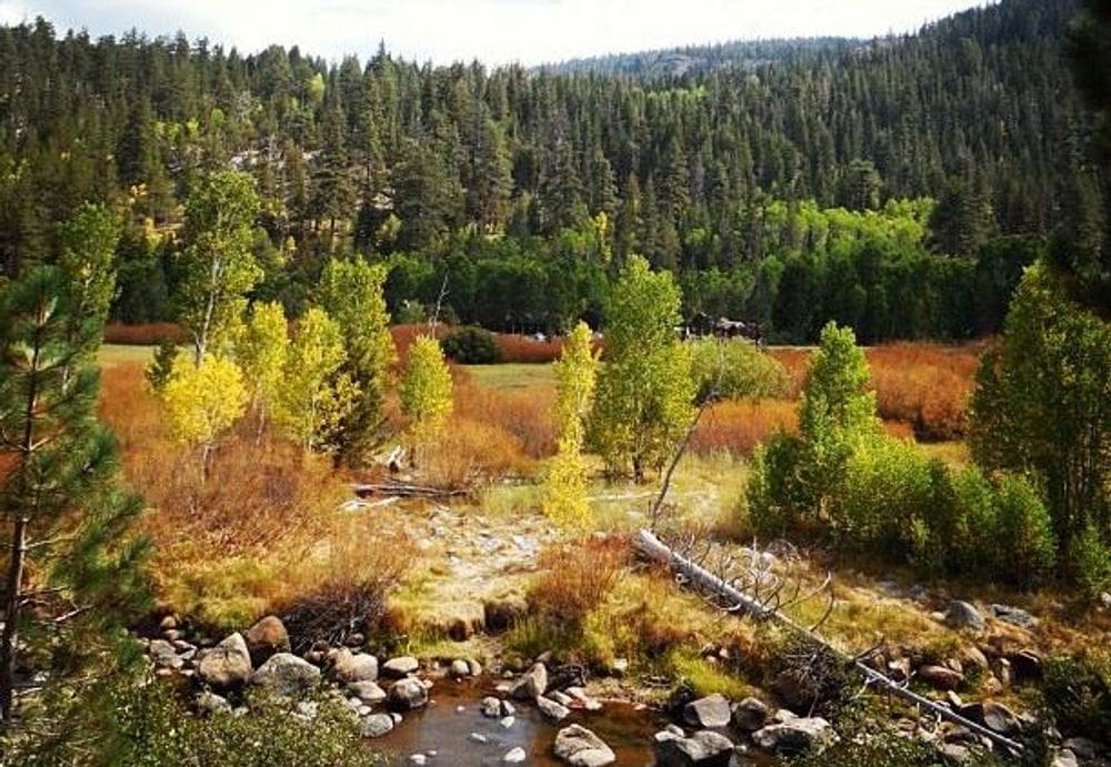 A view of fall colors near Wylder Hotel, one of the best places for fall in California with kids.