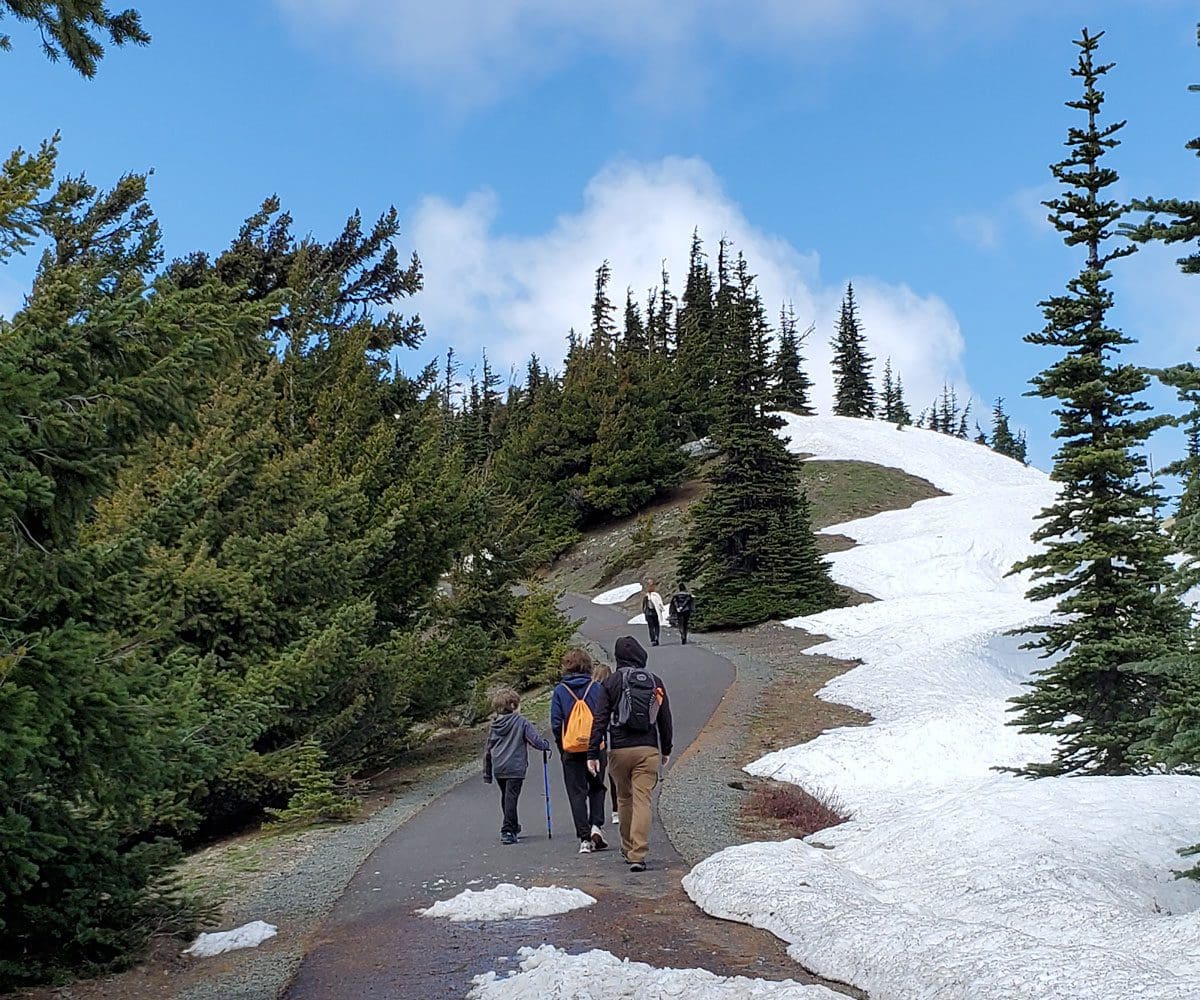 A family hikes along a paved trail within Olympic National Park.