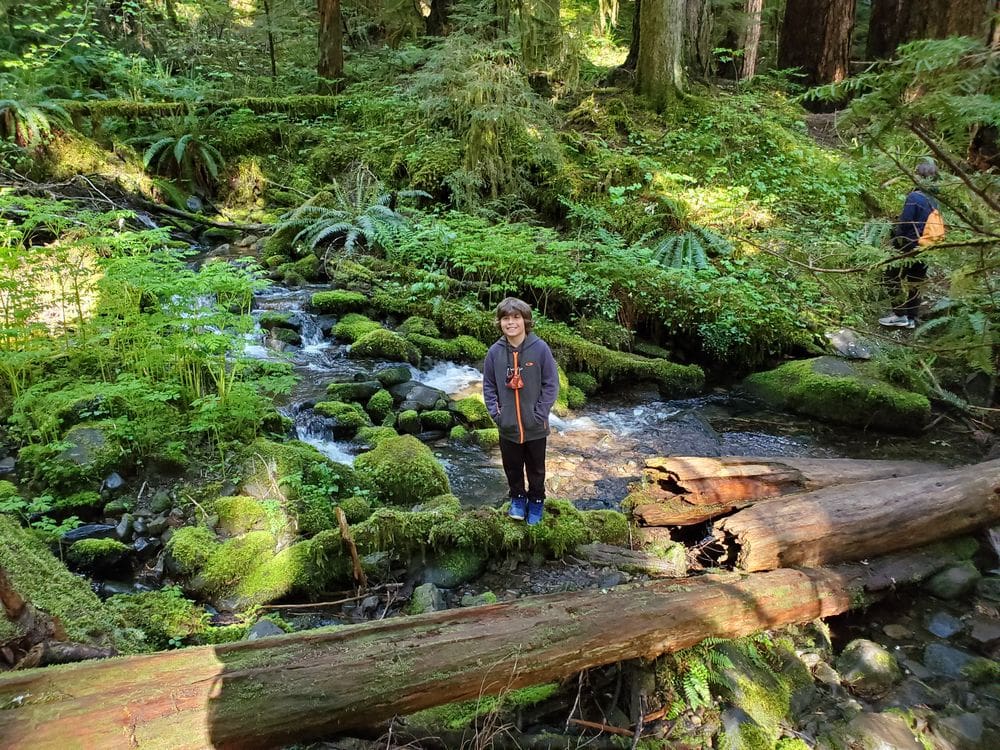 A young boy stands amongst mossy rocks and fallen logs while hiking along Sol Duc Falls, one of the best hikes near Seattle for families.