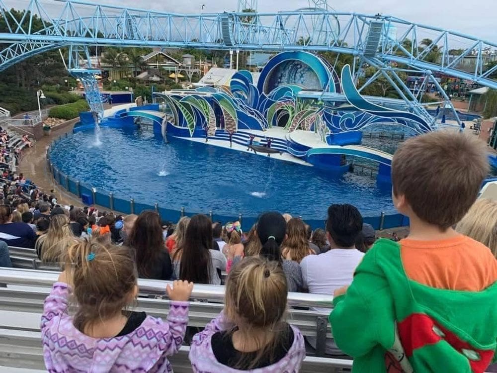 Three kids lean over a railing to enjoy a show at Sea World in San Diego.