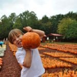A young boy with a huge smile holds up a pumpkin, with a field of orange pumpkins behind him in Northern Georgia.