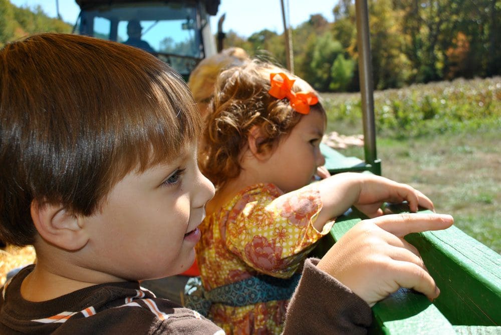 Two kids look out onto a pumpkin patch from a tractor ride in Northern Georgia.