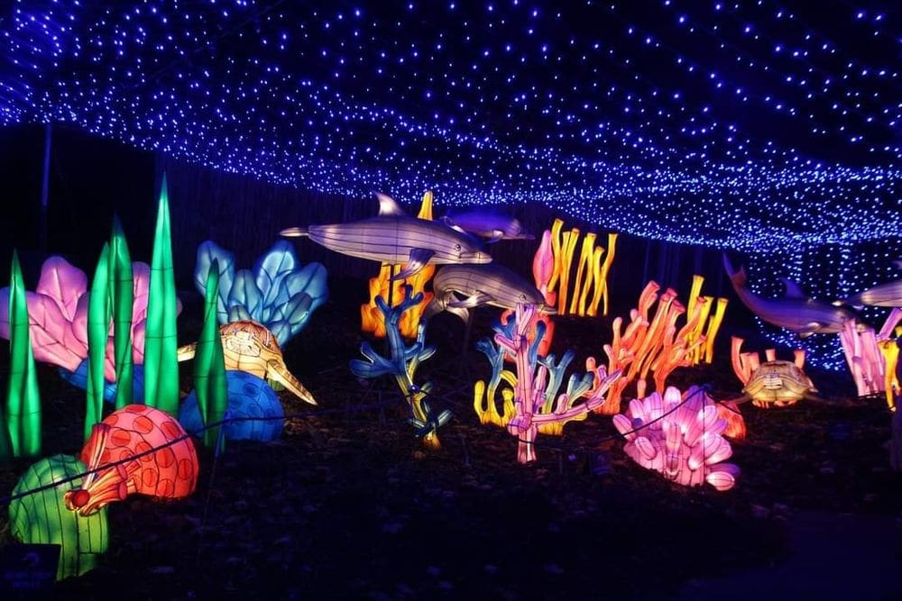 The bright light display at the Bronx Zoo during Christmas, featuring an underwater scene including fish and coral, one of the best New York City Christmas activities with kids.