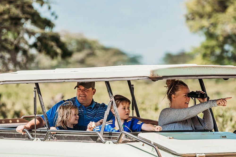 A family of four rides together in a safari jeep in Africa looking for wildlife.