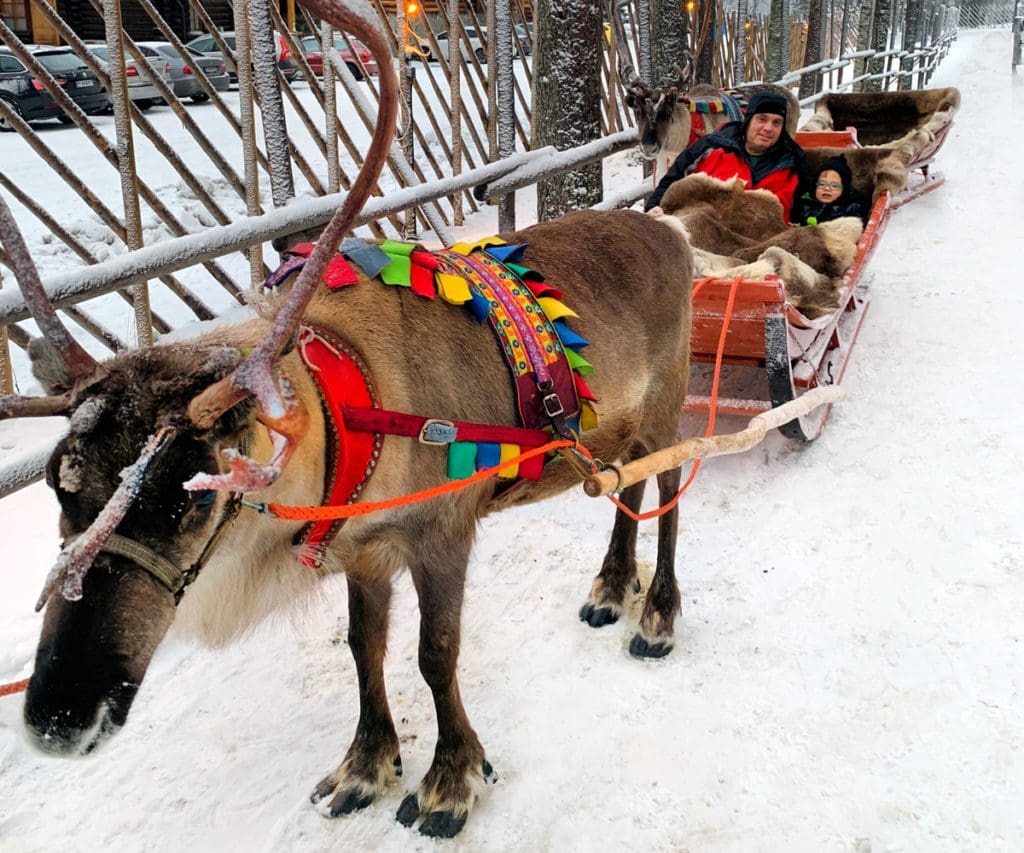 A young boy and his dad are bundled in blankets while riding a sleigh pulled by a reindeer in Lapland at Santa's Village, a must do on our Finnish Lapland itinerary for families.