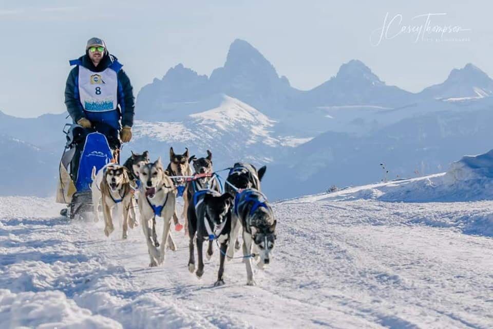 A musher follows his dogsled on a beautiful winter day.