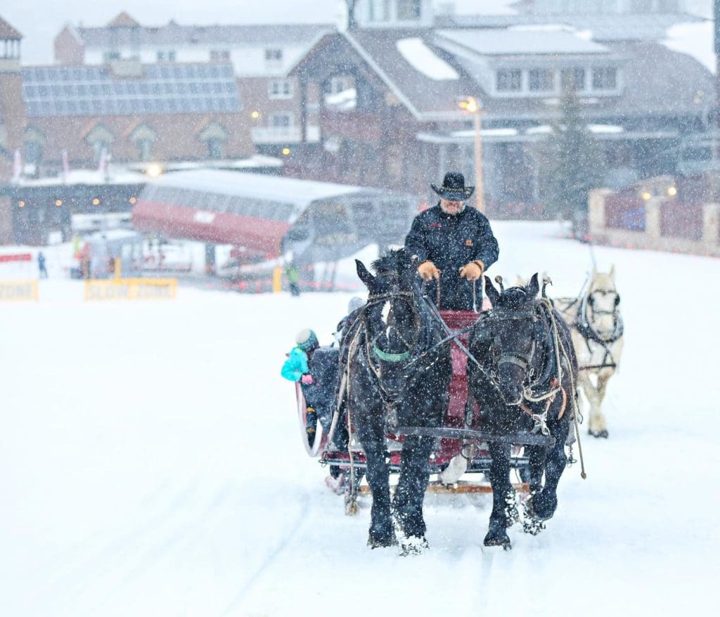 A man leads a horse-drawn sleigh through the snow as part of a Snowed Inn Sleigh Co. tour.