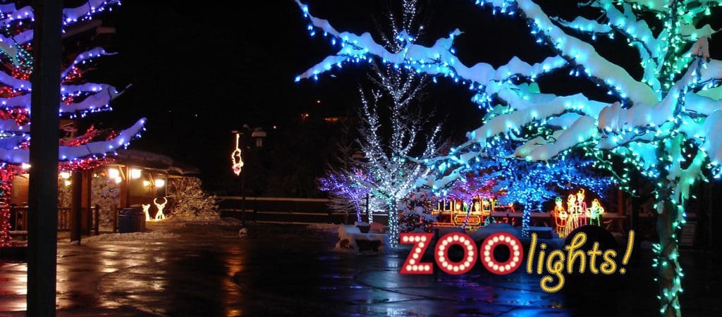 A bright light display at the Hogle Zoo for the holidays.