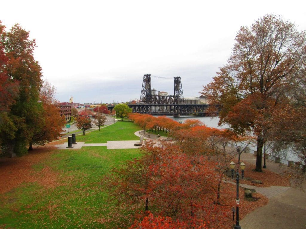 A view of the Tom McCall Waterfront Park, including fall foliage and a bridge in the distance.