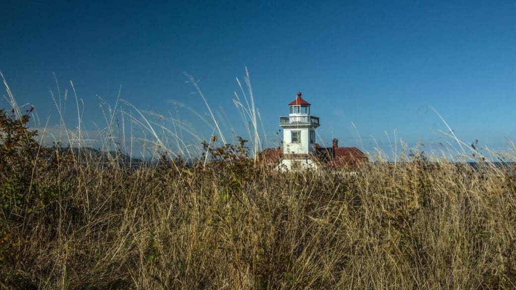 A lone lighthouse stands amongst tall grasses on San Juan Islands in Washington.