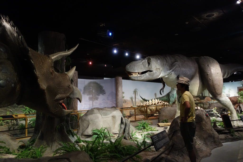 A teenager looks on a a dinosaur display at Las Vegas Natural History Museum.