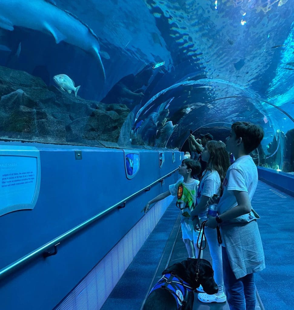 Three kids look into the tunnel aquarium at several fish at the Georgia Aquarium.