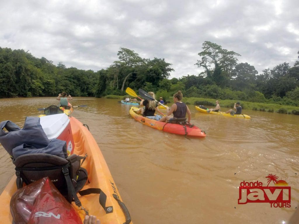 Several people embark on a kayak trip in muddied water in Costa Rica.