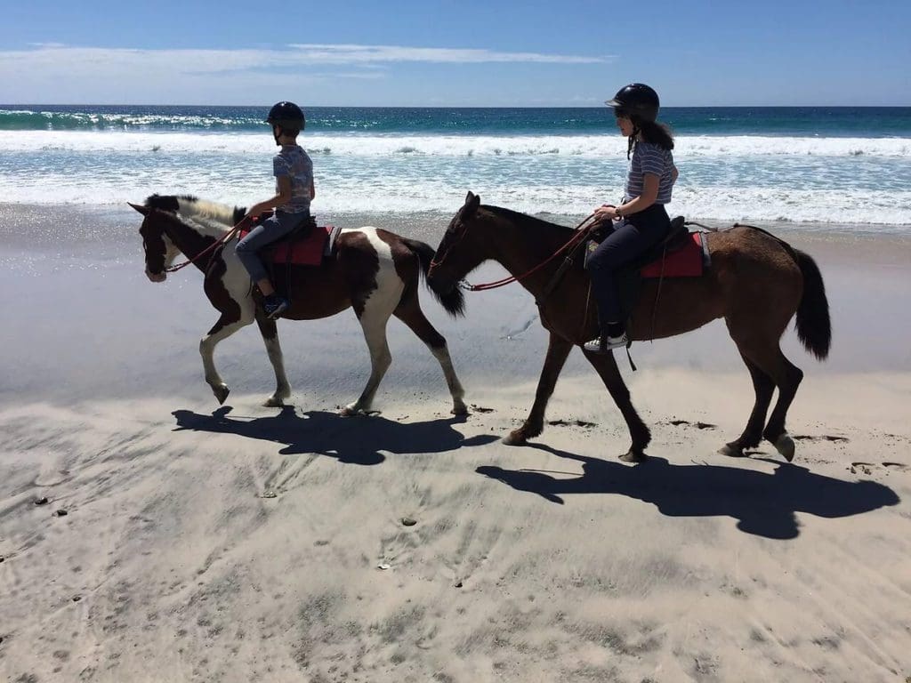 Two kids ride on their own individual horses across the beach, along the ocean.