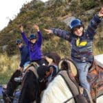 Two kids raise their hands in glee, while exploring Peru on horseback.