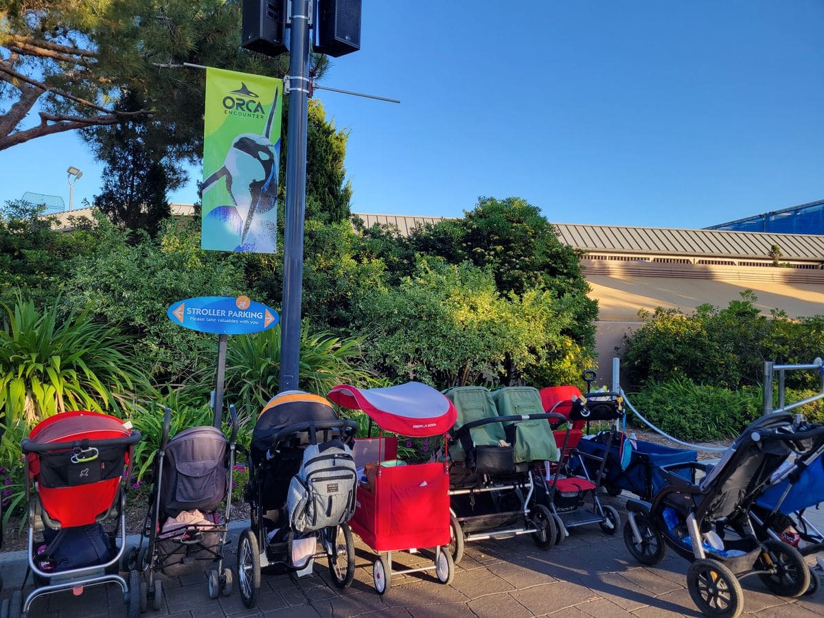 A line of strollers parked in a designated area of SeaWorld San Diego.