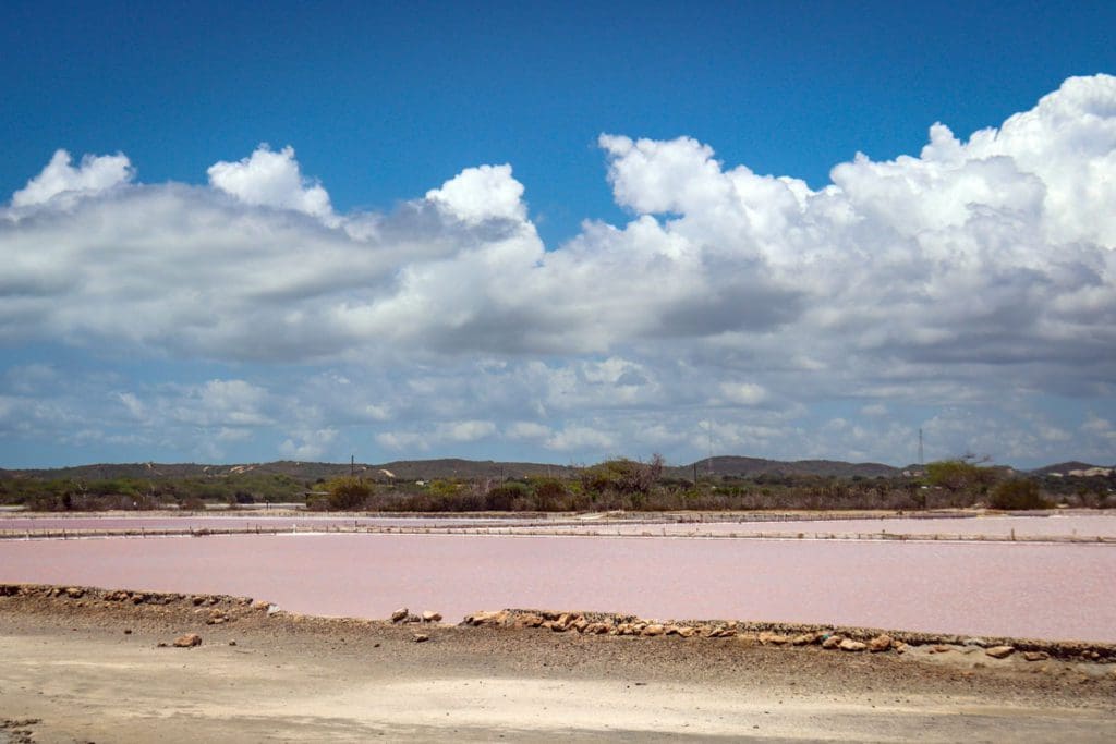 The pink salt flats at Cabo Rojo National Wildlife Refuge on a sunny day.
