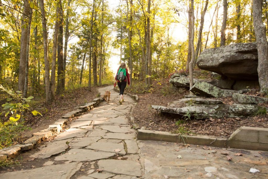 A woman and her dog hike along a trail in Shawnee National Forest, one of the best places to visit in Southern Illinois for families.