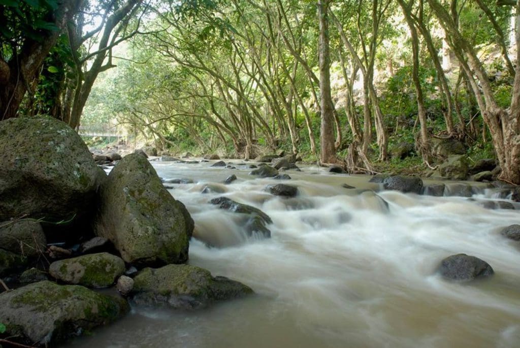 A river flows over large rocks inside Waimea Falls Park & Botanical Gardens.