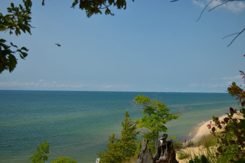 An overlook at Saugatuck Dunes State Park, with a view down to the lake and shoreline at one of the best places in Michigan to visit with kids.
