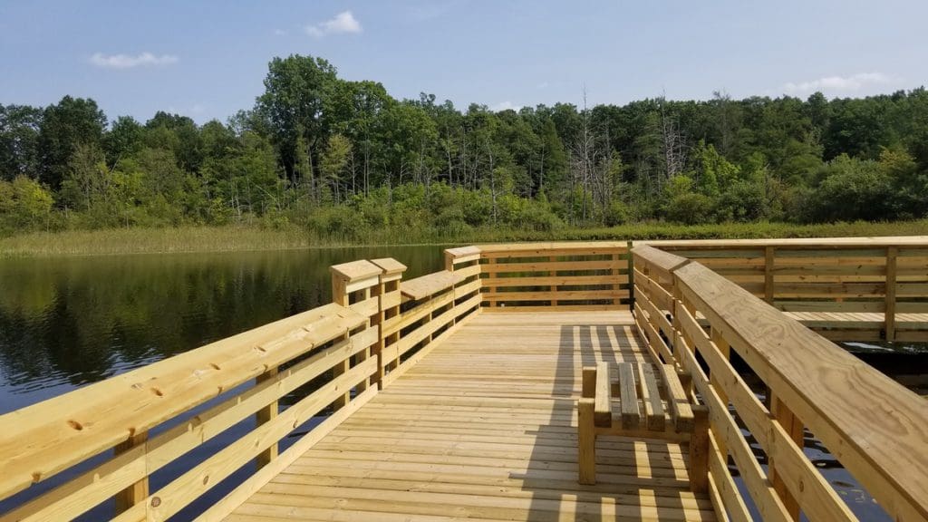 A large boardwalk extends into a body of water, with a forest flanking the other bank, at Bald Mountain State Recreation Area.