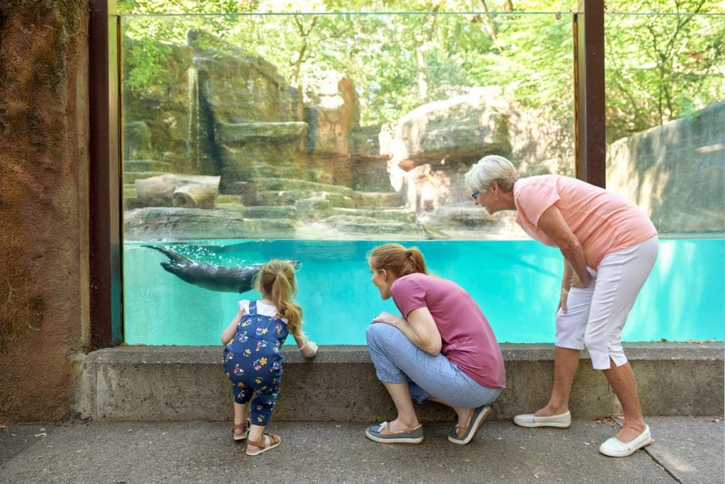 A mom, grandma, and infant girl look through aquarium glass at a swimming otter at John Ball Zoo.